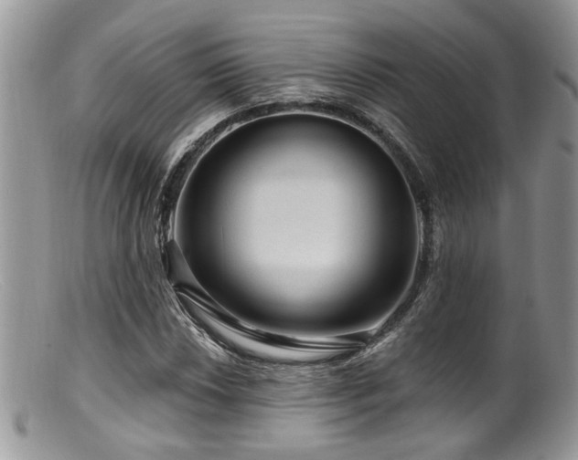 X0000099501018200805151426