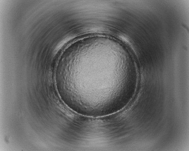 X0000099501019200805151426