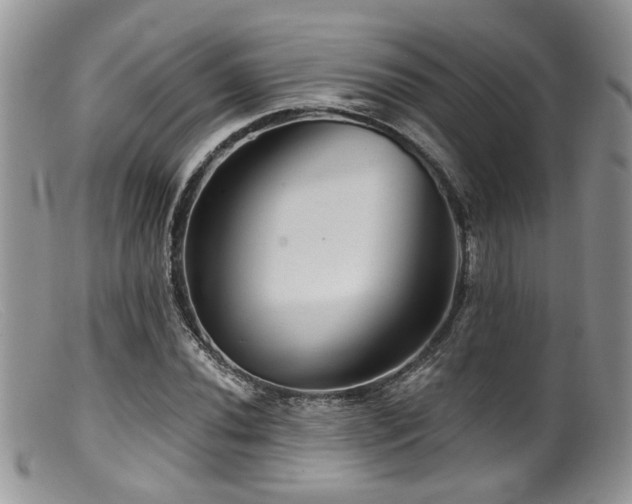 X0000099501020200805151426