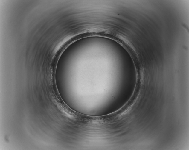 X0000099501021200805151426