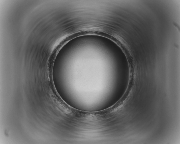 X0000099501022200805151426