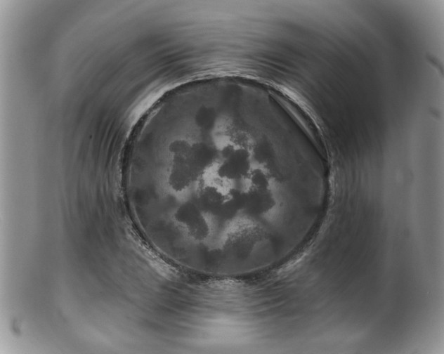 X0000099501023200805151426