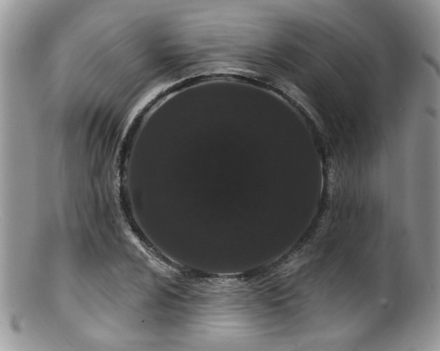 X0000099501024200805151426