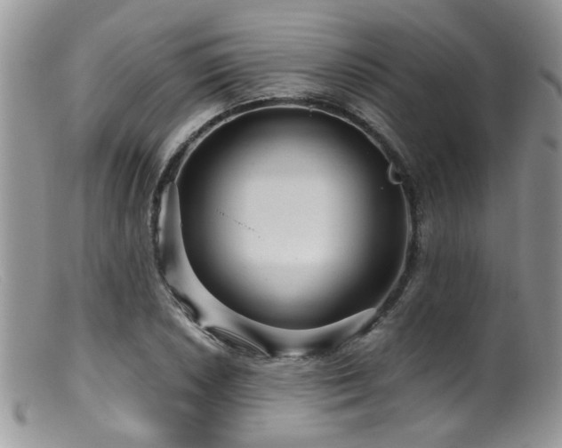 X0000099501026200805151426