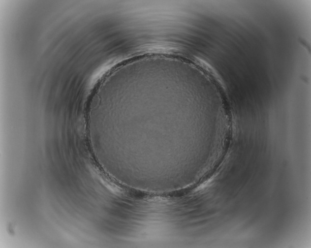 X0000099501027200805151426