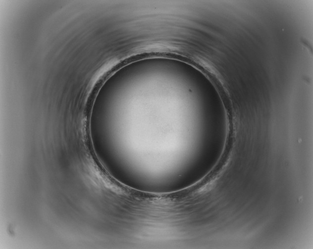 X0000099501029200805151426