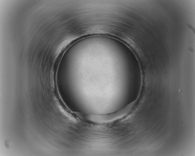 X0000099501030200805151426