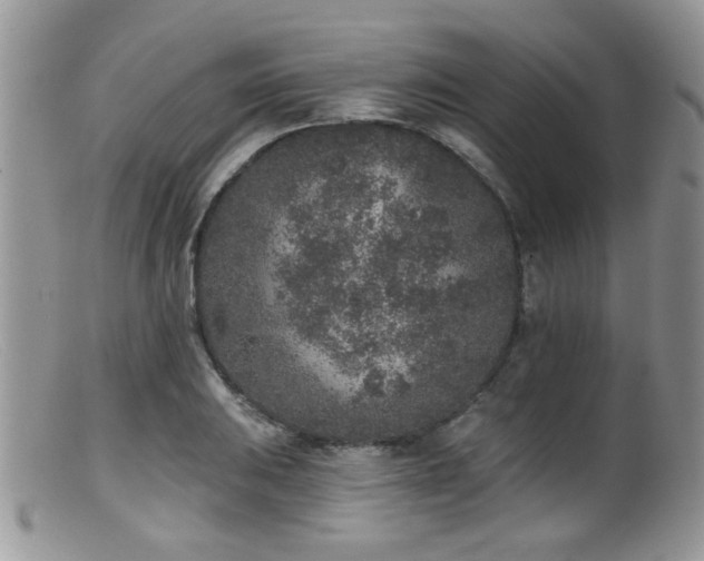 X0000099501031200805151426