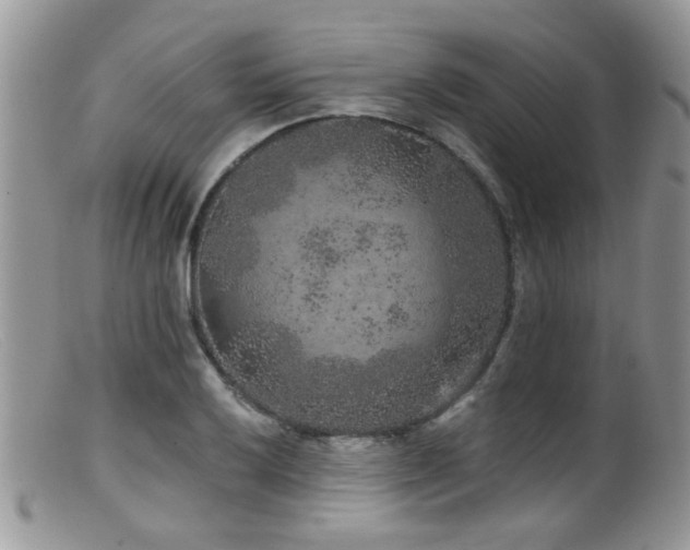 X0000099501032200805151426