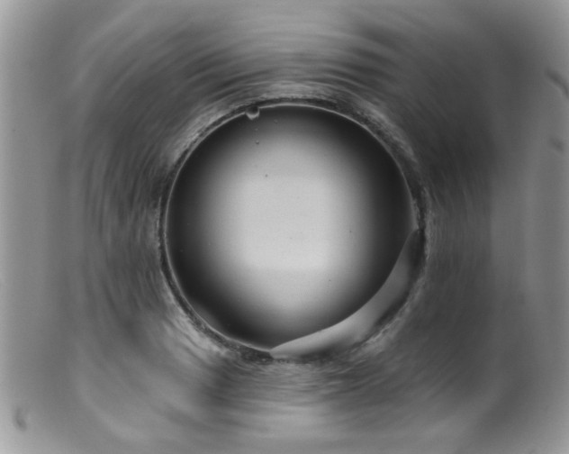 X0000099501033200805151426