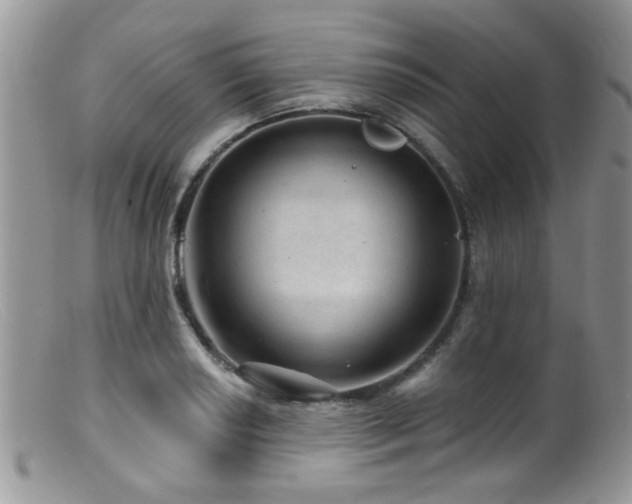 X0000099501034200805151426