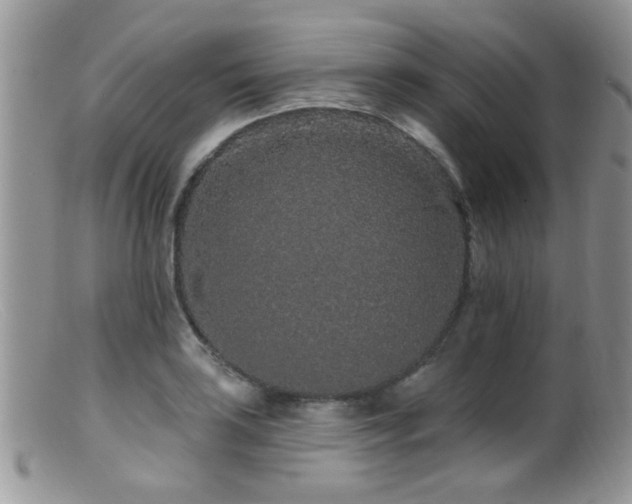 X0000099501035200805151426
