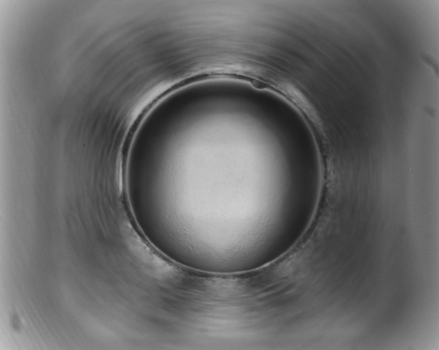 X0000099501036200805151426