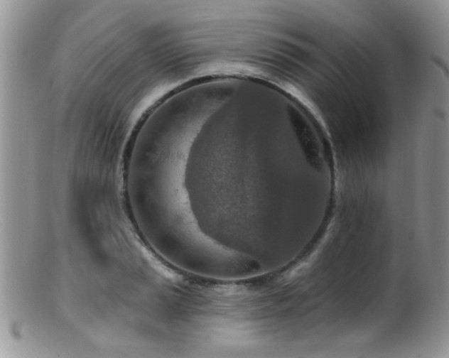 X0000099501037200805151426
