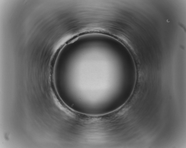 X0000099501038200805151426