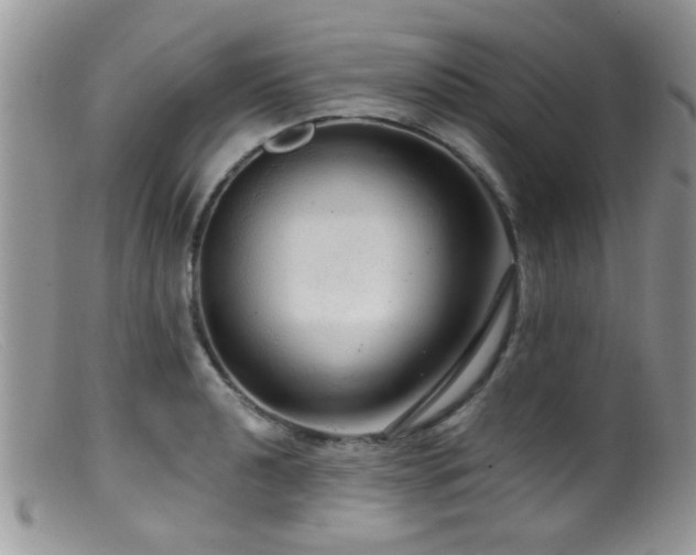 X0000099501040200805151426