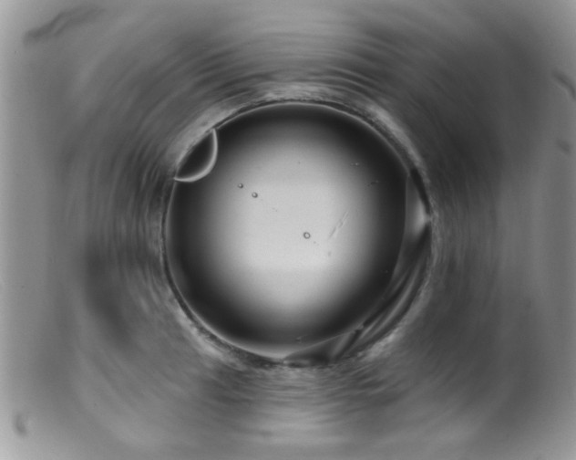 X0000099501041200805151426