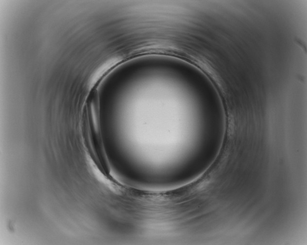 X0000099501042200805151426