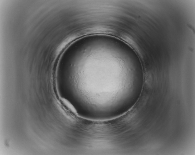 X0000099501043200805151426