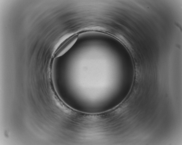 X0000099501044200805151426