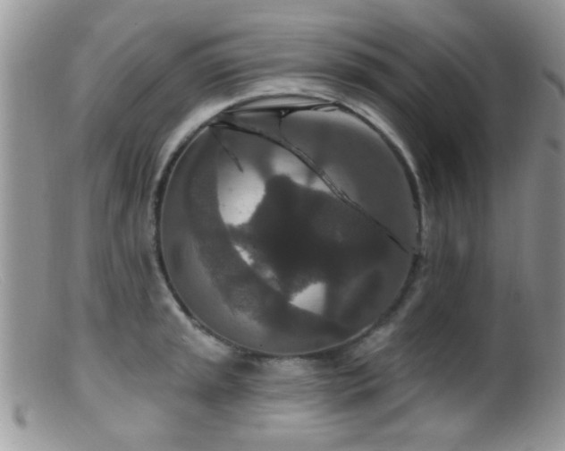 X0000099501045200805151426