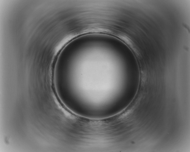 X0000099501046200805151426