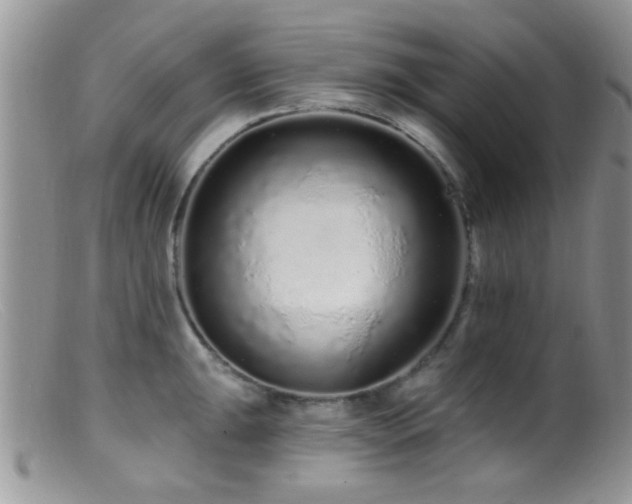 X0000099501047200805151426