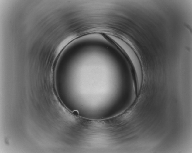 X0000099501050200805151426