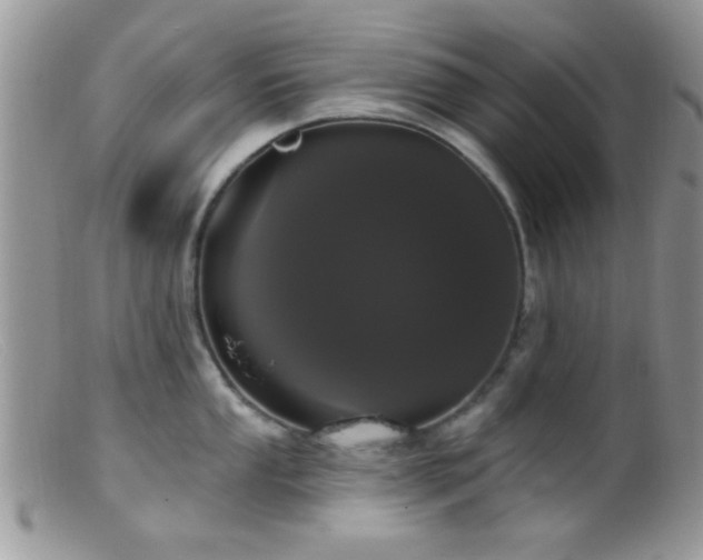 X0000099501053200805151426