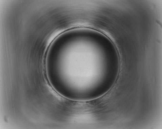 X0000099501056200805151426