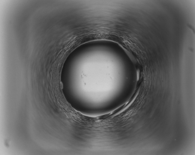 X0000099501057200805151425