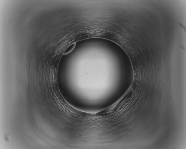 X0000099501058200805151425