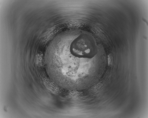X0000099501059200805151425
