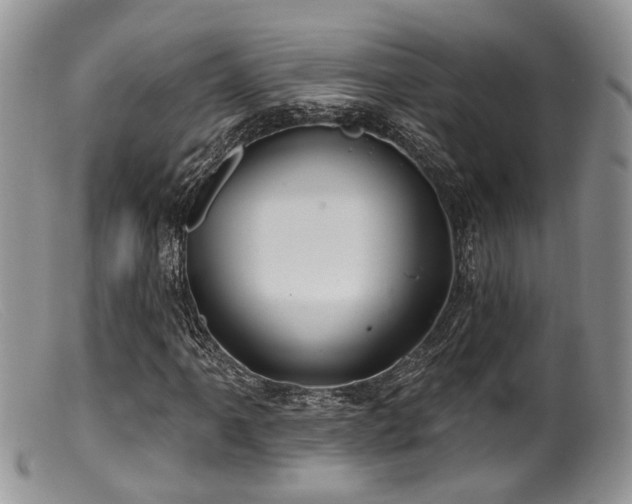 X0000099501061200805151425