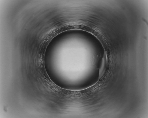 X0000099501062200805151425