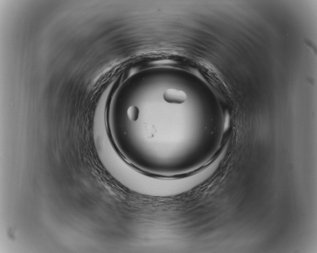 X0000099501064200805151425