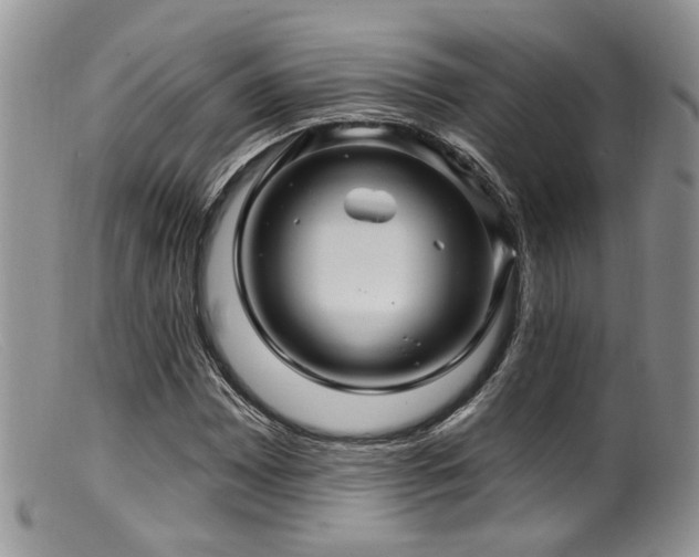 X0000099501065200805151425