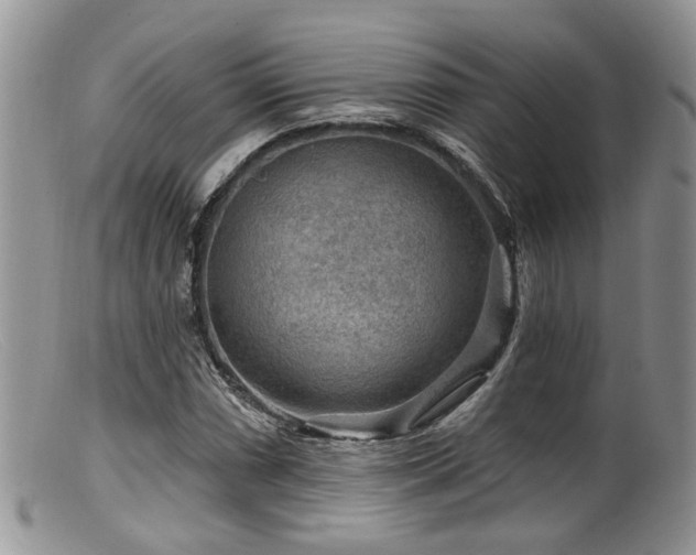 X0000099501066200805151425