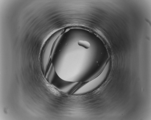 X0000099501068200805151425