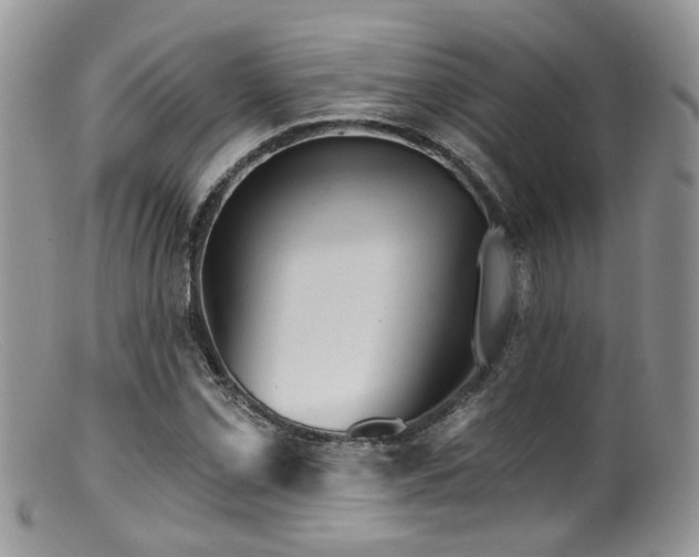 X0000099501069200805151425