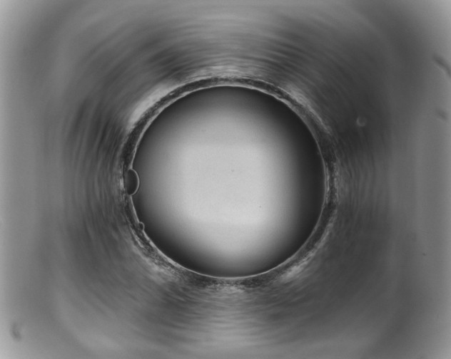 X0000099501070200805151425