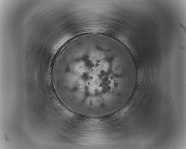 X0000099501071200805151425