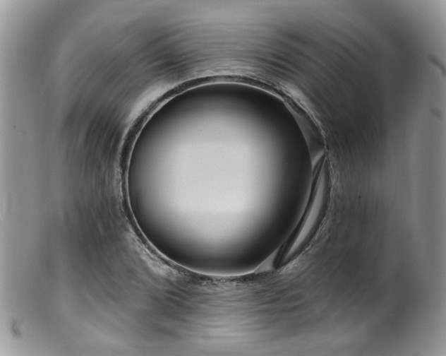 X0000099501072200805151425