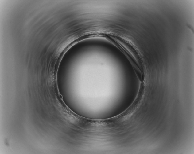 X0000099501073200805151425