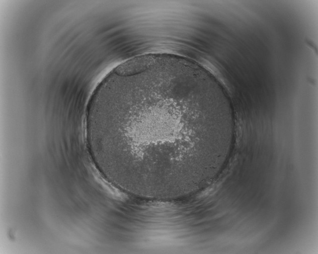X0000099501076200805151425