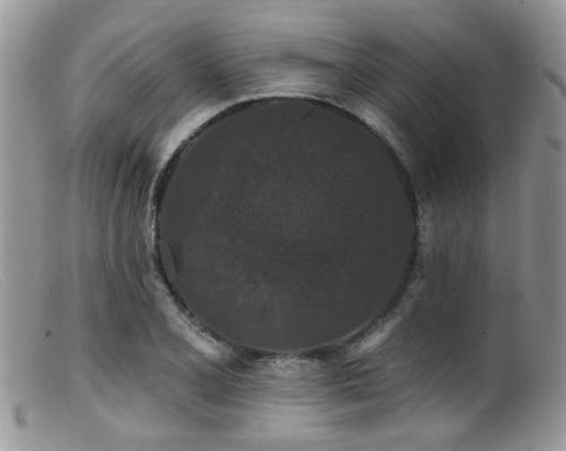 X0000099501077200805151425