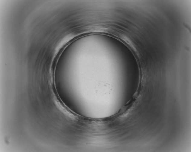 X0000099501080200805151425