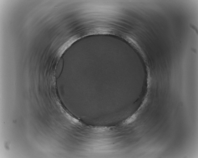 X0000099501081200805151425