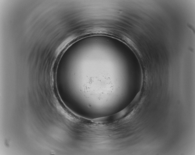X0000099501082200805151425