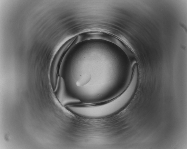 X0000099501084200805151425